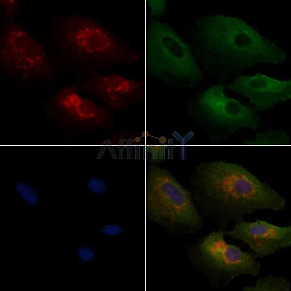 Валидация Affinity DF4107 - 15396