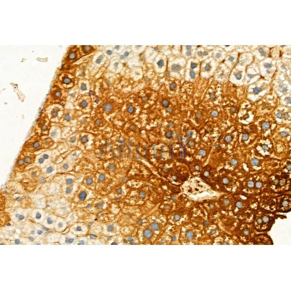 Валидация Affinity DF6883 - 18475