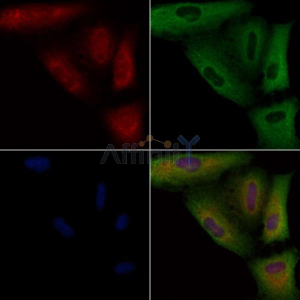 Валидация Affinity DF3531 - 14470