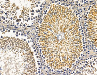 Валидация Affinity DF14794 - 10892