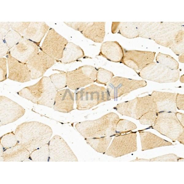 Валидация Affinity DF13667 - 9238