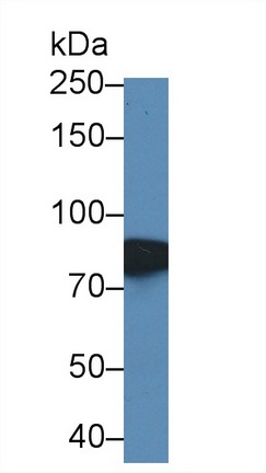 12560