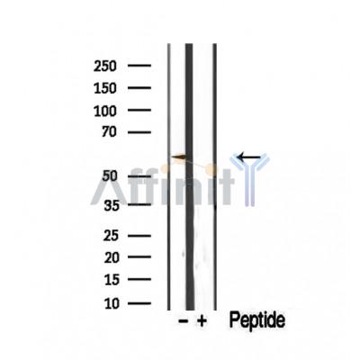 Валидация Affinity DF12396 - 6880