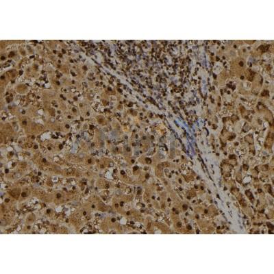 Валидация Affinity DF7503 - 19241