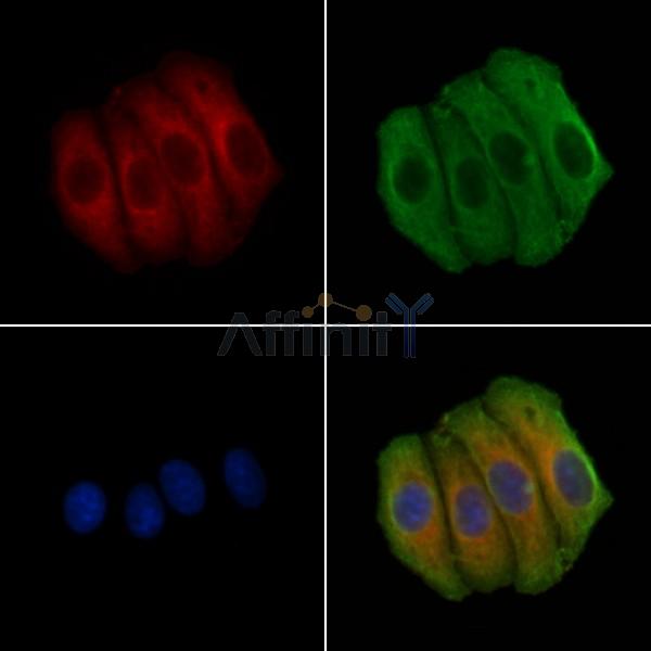 Валидация Affinity DF4476 - 16008
