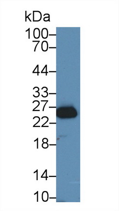 13490