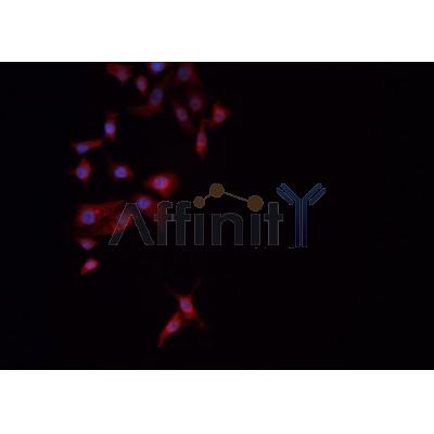 Валидация Affinity DF2980 - 13723