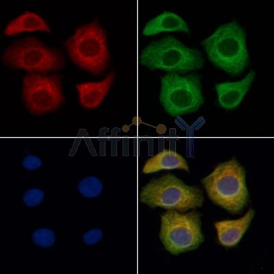 Валидация Affinity DF6364 - 17713