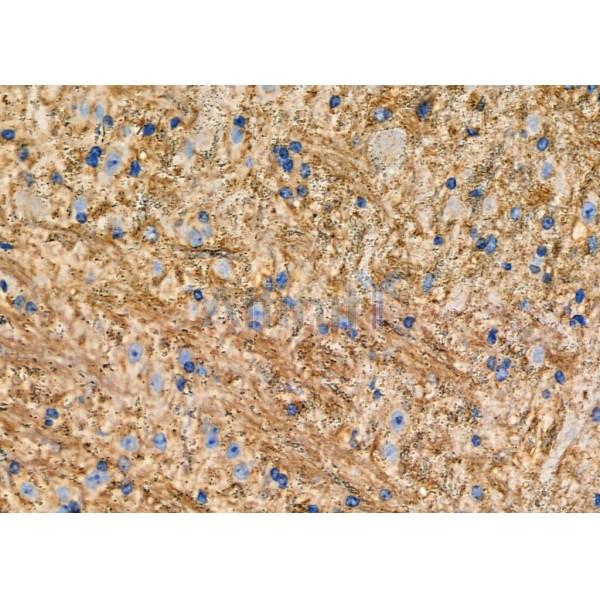 Валидация Affinity DF6706 - 18220