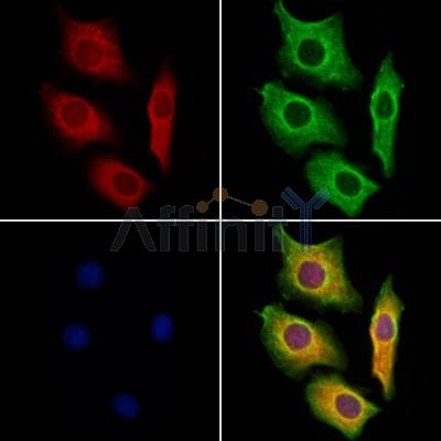 Валидация Affinity DF12376 - 6836