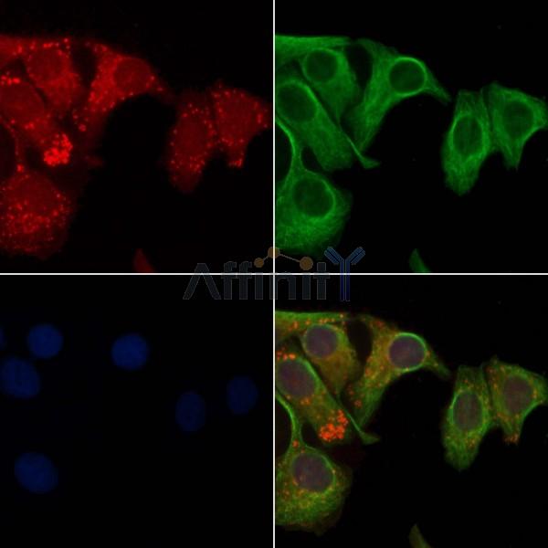 Валидация Affinity DF10352 - 5976