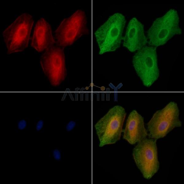Валидация Affinity DF10302 - 5918