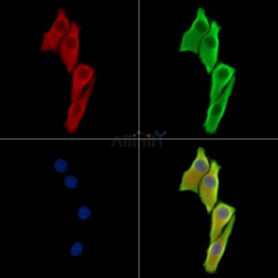 Валидация Affinity DF13899 - 9637