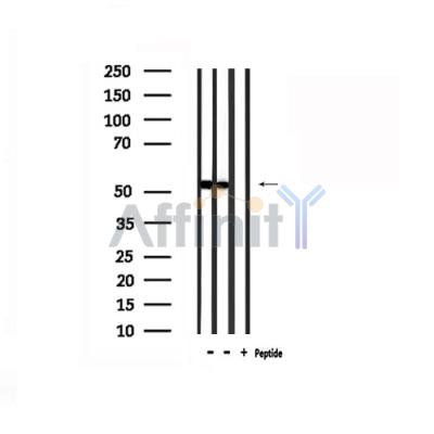 Валидация Affinity DF4918 - 16729