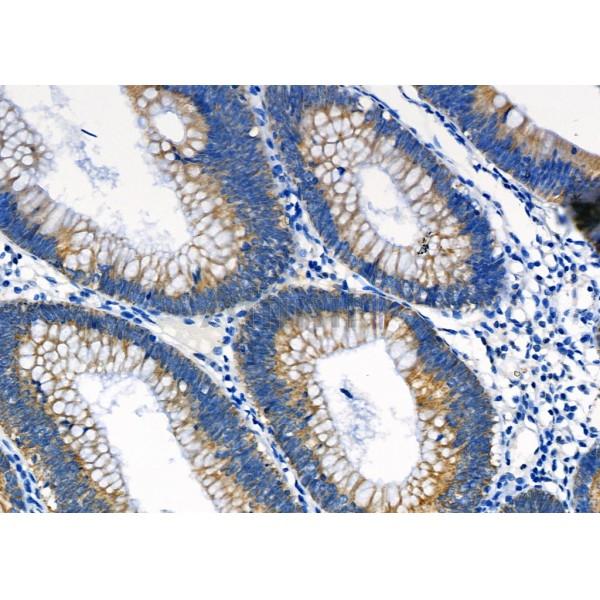 Валидация Affinity DF8227 - 20061