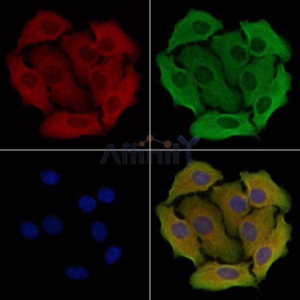 Валидация Affinity DF3490 - 14406