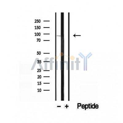 Валидация Affinity DF12470 - 7019