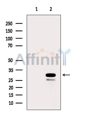 Валидация Affinity DF3689 - 14711