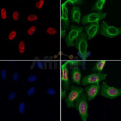 Валидация Affinity DF3089 - 13840