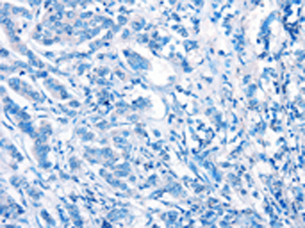 Валидация AssayVector ARM1057(165)