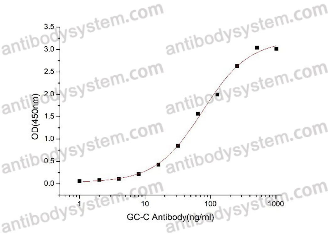 Валидация активности AntibodySystem AHD65601