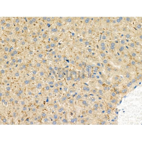 Валидация Affinity DF9391 - 21930