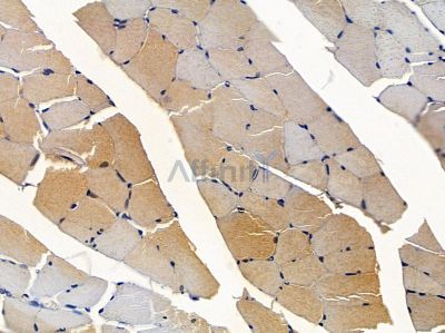 Валидация Affinity DF12811 - 7516