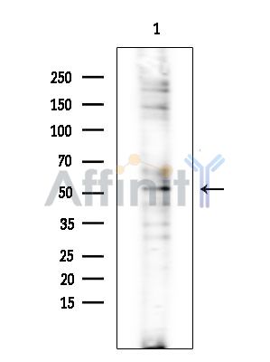Валидация Affinity DF3883 - 15043
