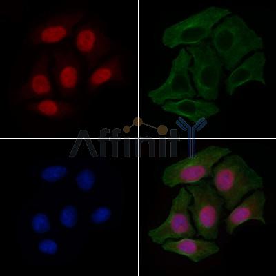 Валидация Affinity AF6020 - 3214