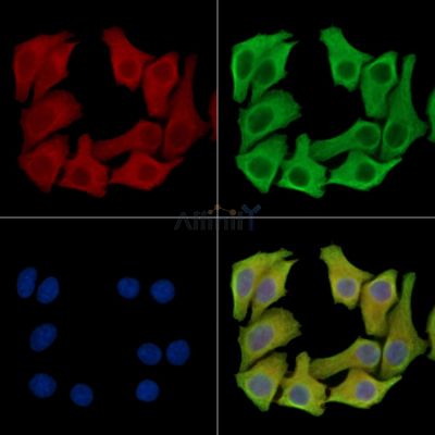 Валидация Affinity DF15148 - 11413