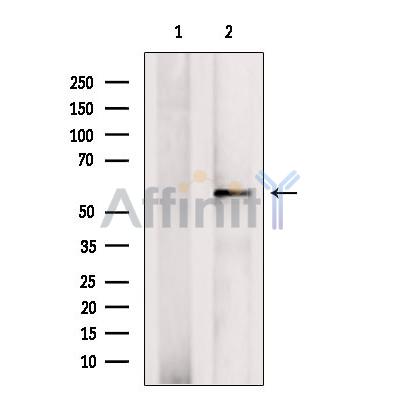 Валидация Affinity DF6230 - 17509
