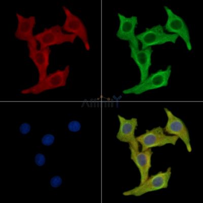 Валидация Affinity DF14055 - 9833