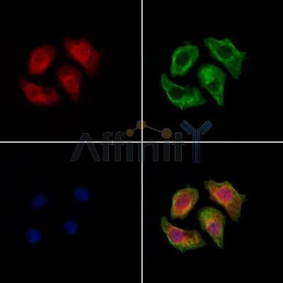 Валидация Affinity DF13249 - 8315