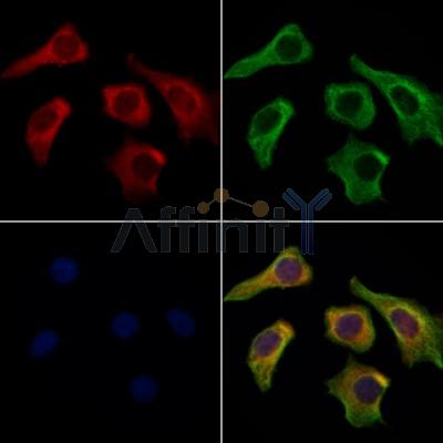 Валидация Affinity DF6741 - 18286