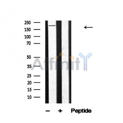 Валидация Affinity AF4645 - 2257