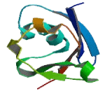 C-Raf Proto Oncogene Serine/Threonine Protein Kinase (CRAF)