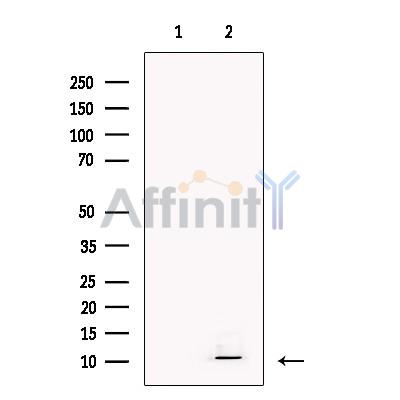 Валидация Affinity DF13279 - 8387