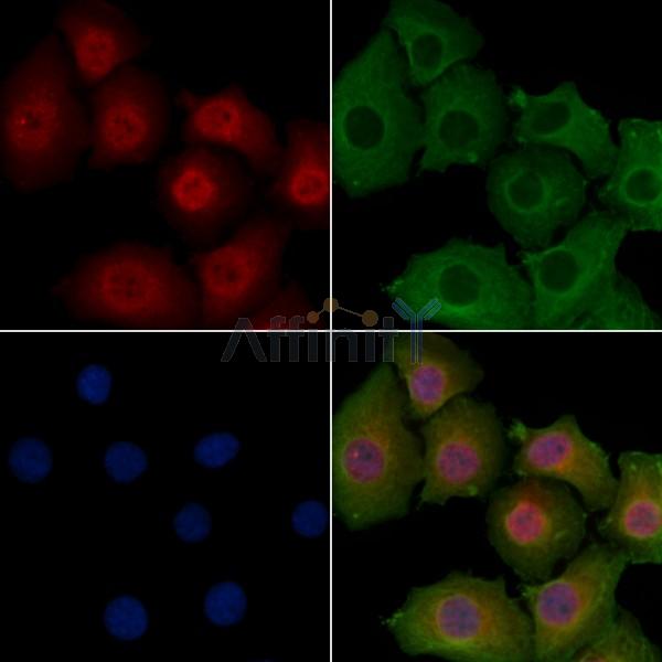 Валидация Affinity DF13475 - 8837