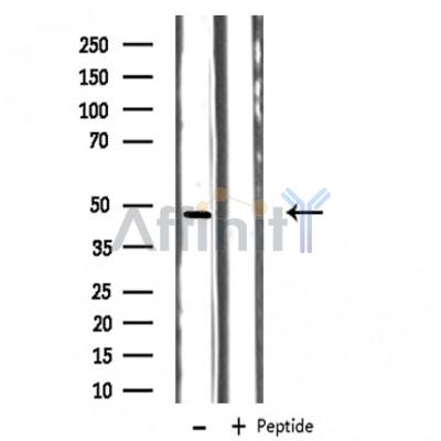 Валидация Affinity DF3497 - 14417