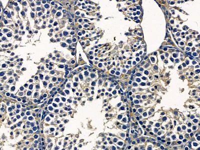 Валидация Affinity DF8424 - 20299