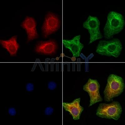 Валидация Affinity DF12489 - 7060