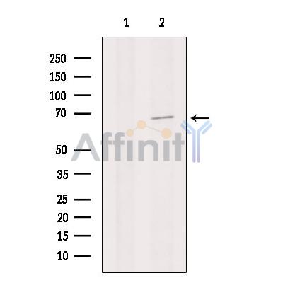 Валидация Affinity DF13214 - 8226
