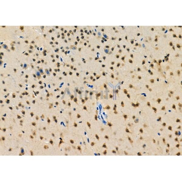 Валидация Affinity DF12302 - 6678