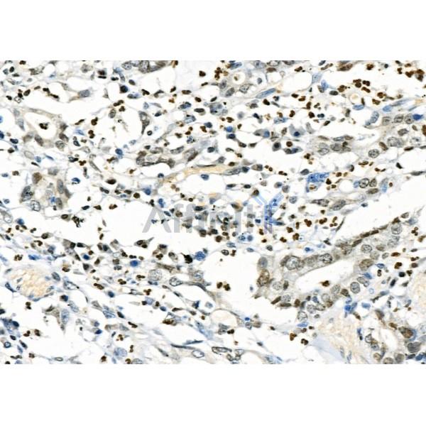 Валидация Affinity DF7007 - 18644