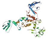 Scavenger Receptor Class B Member 1 (SCARB1) Scavenger Receptor Class B Member 1 (SCARB1)