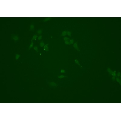 Валидация Affinity DF6437 - 17811