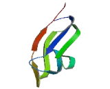 Purinergic Receptor P2X, Ligand Gated Ion Channel 2 (P2RX2) Purinergic Receptor P2X, Ligand Gated Ion Channel 2 (P2RX2)