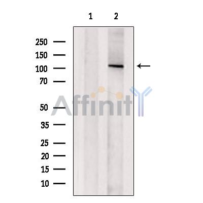 Валидация Affinity DF4425 - 15926