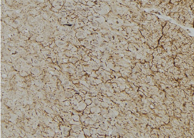 Валидация Affinity DF6442 - 17822