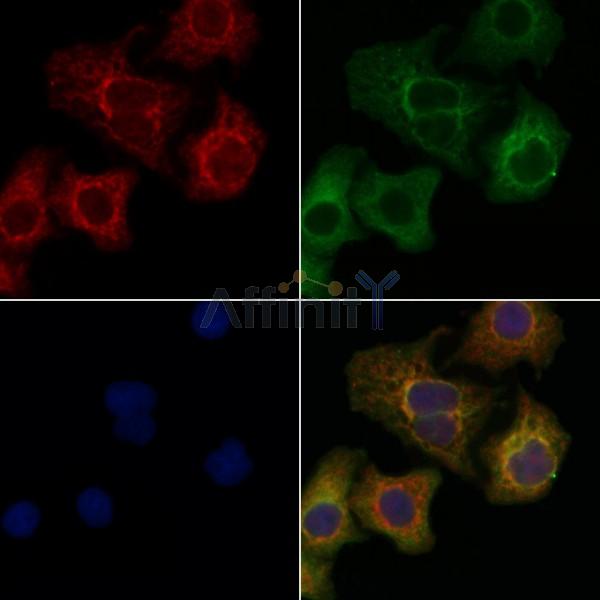 Валидация Affinity DF10320 - 5941